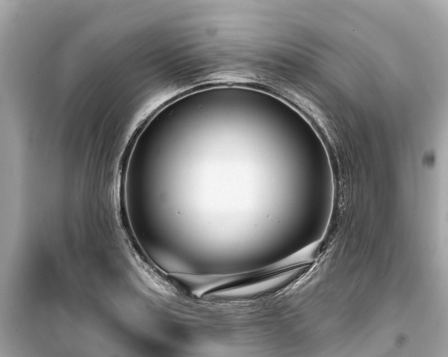 X0000099441179200805161127