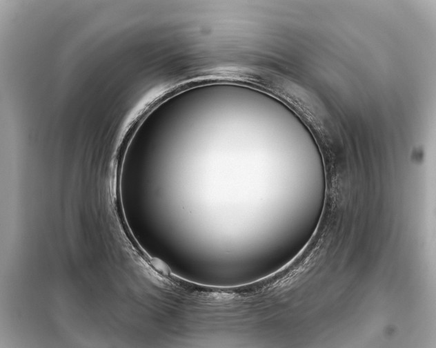X0000099441180200805161126