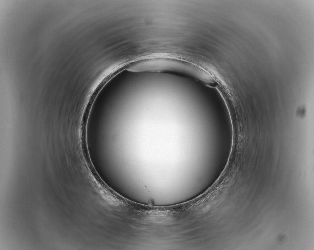 X0000099441181200805161126