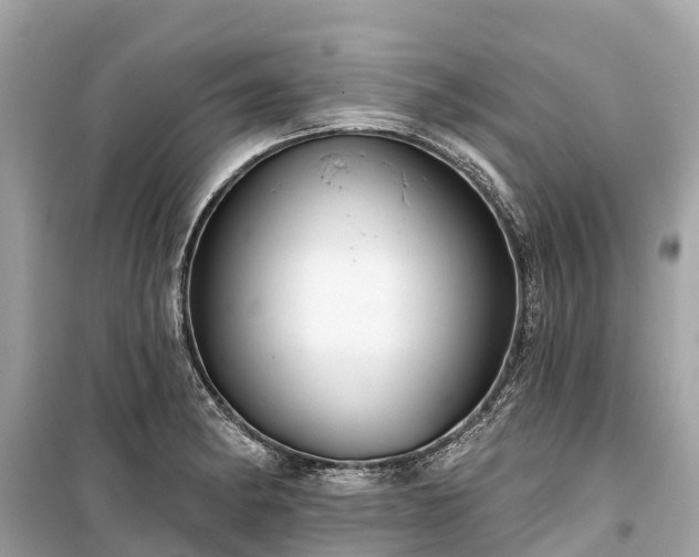 X0000099441182200805161126