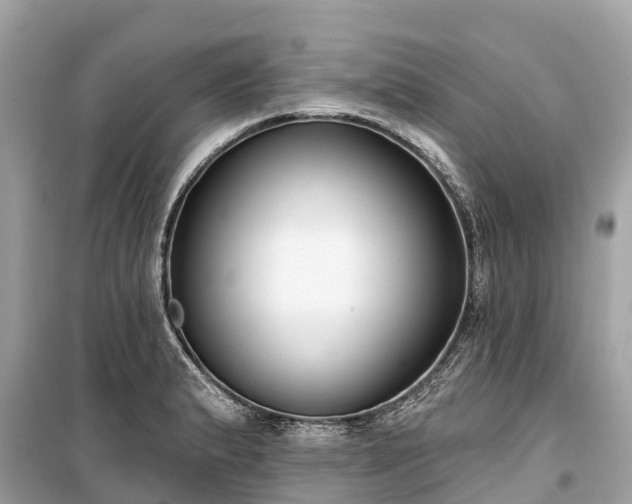 X0000099441183200805161126