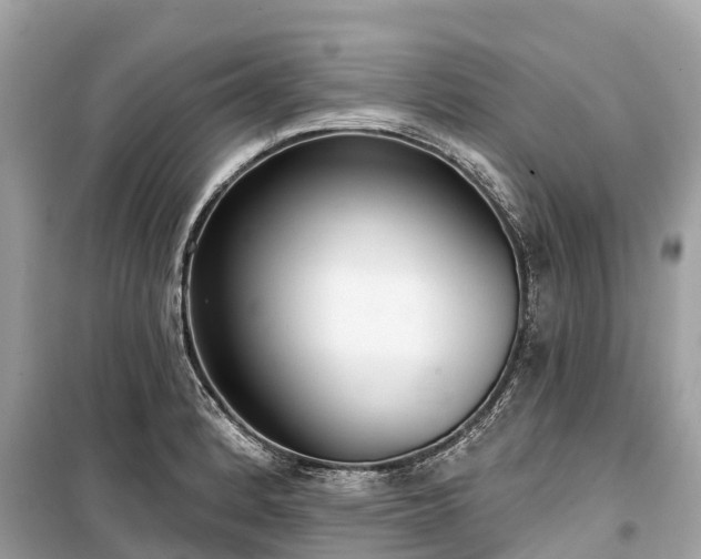 X0000099441184200805161126