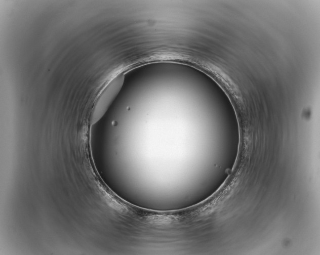 X0000099441185200805161126