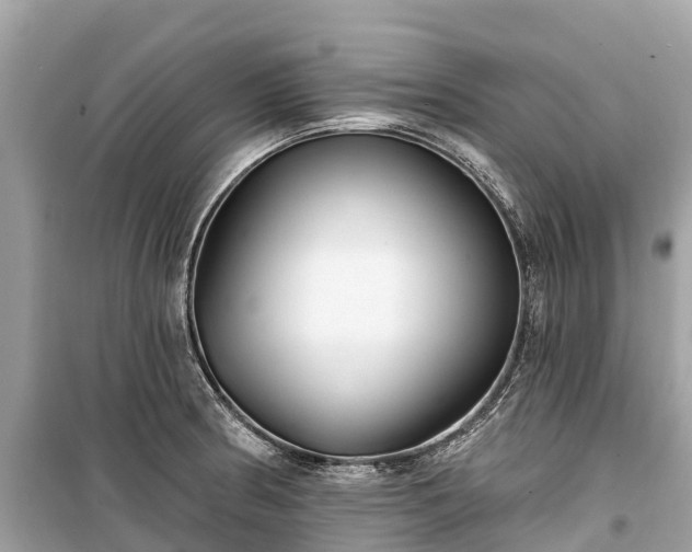 X0000099441186200805161126