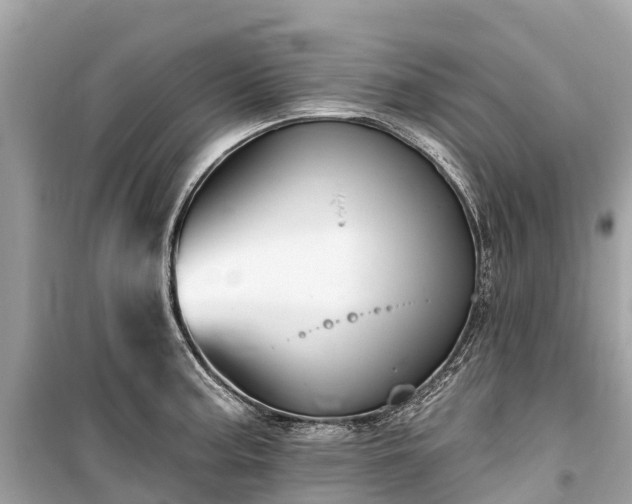 X0000099441187200805161126
