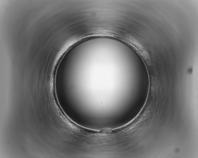 X0000099441188200805161126