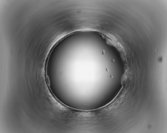 X0000099441189200805161126
