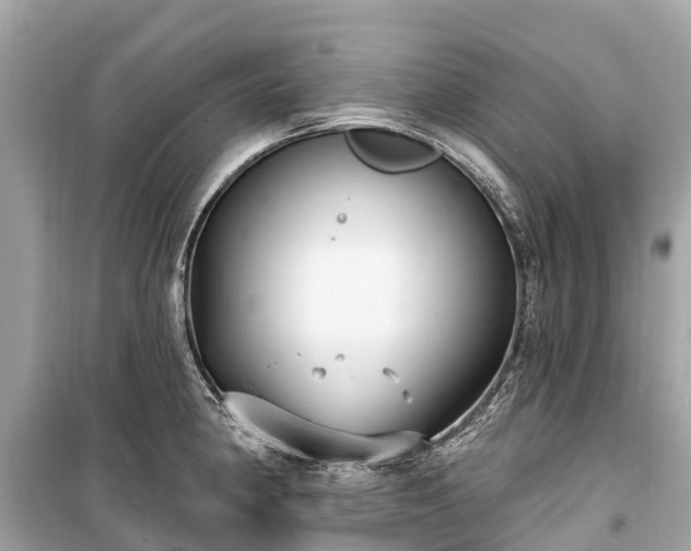 X0000099441190200805161126
