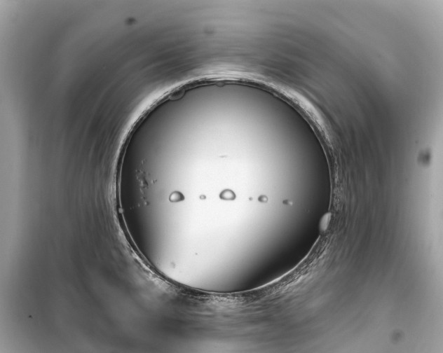 X0000099441191200805161126