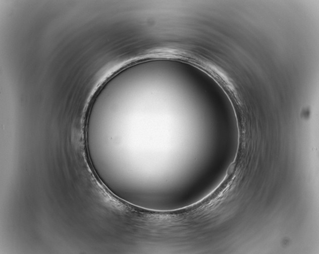 X0000099441192200805161126