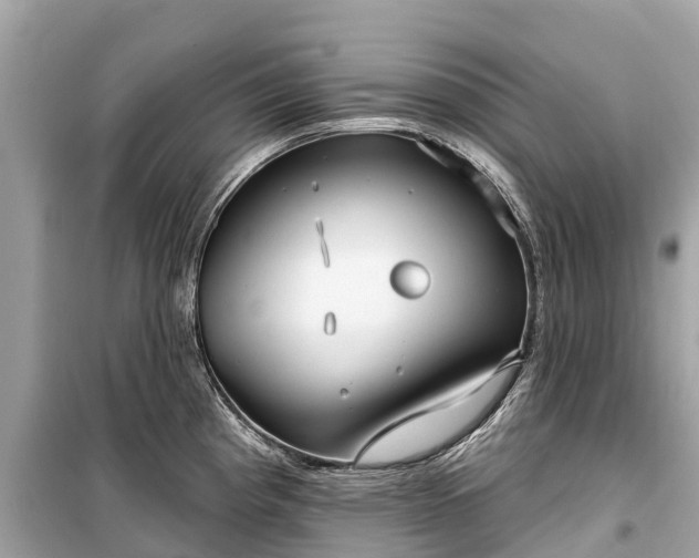 X0000099441193200805161126