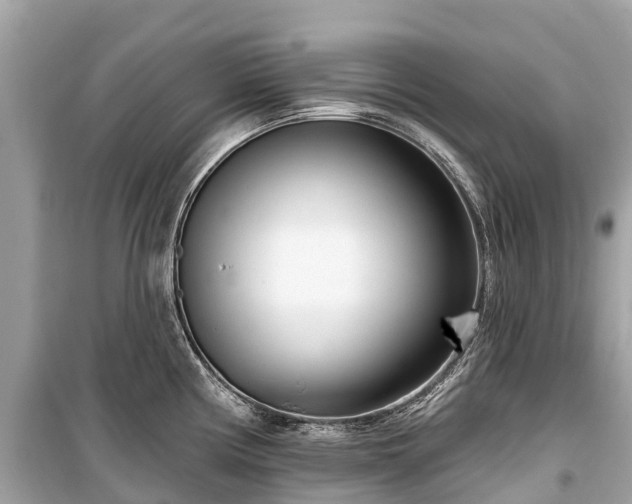 X0000099441194200805161126