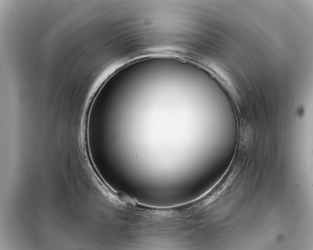 X0000099441196200805161126