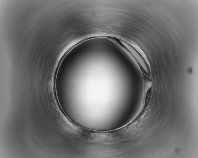 X0000099441197200805161126