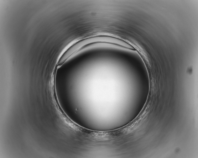X0000099441198200805161126
