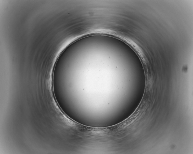 X0000099441199200805161126