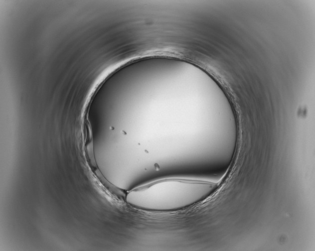 X0000099441200200805161126