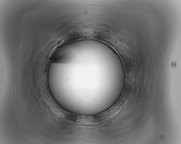 X0000099441201200805161125