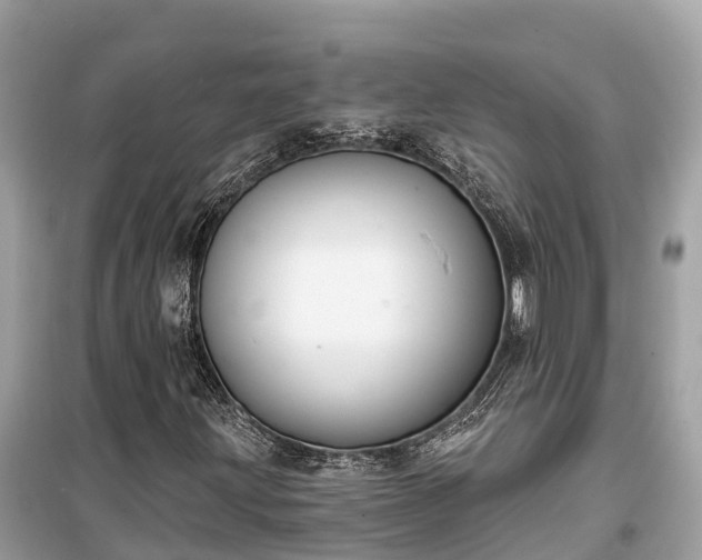 X0000099441203200805161126