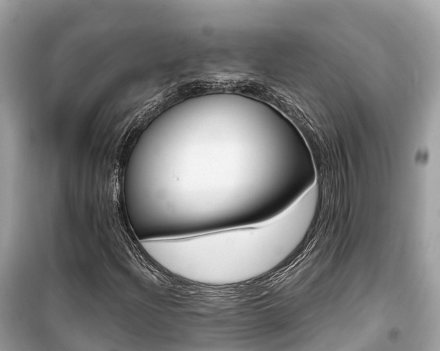 X0000099441204200805161126