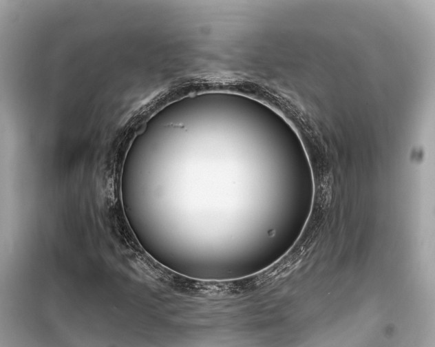 X0000099441205200805161126