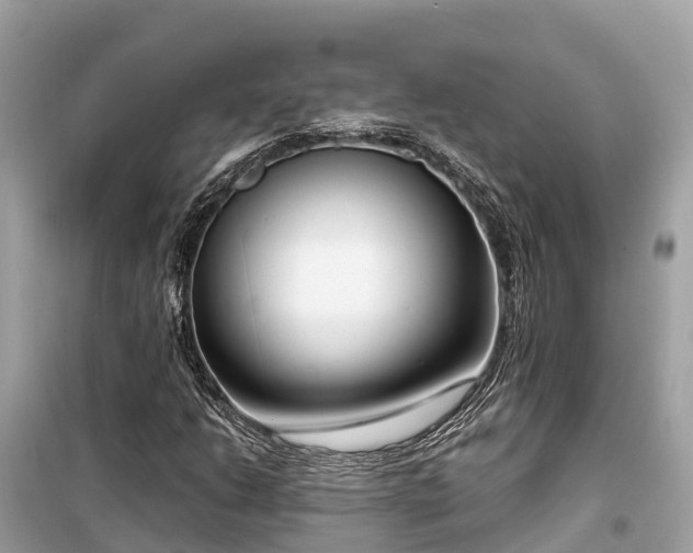 X0000099441206200805161126