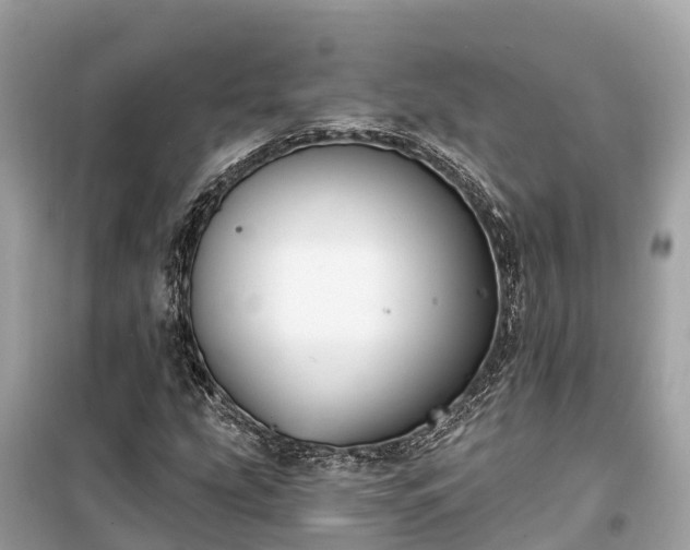 X0000099441207200805161126