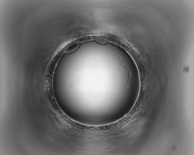 X0000099441208200805161126