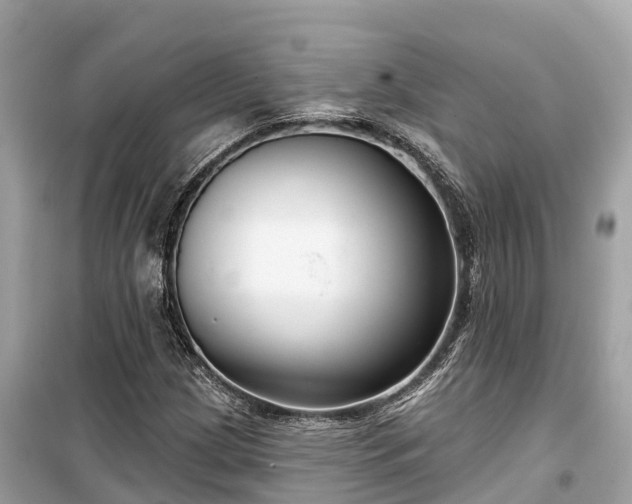 X0000099441209200805161126