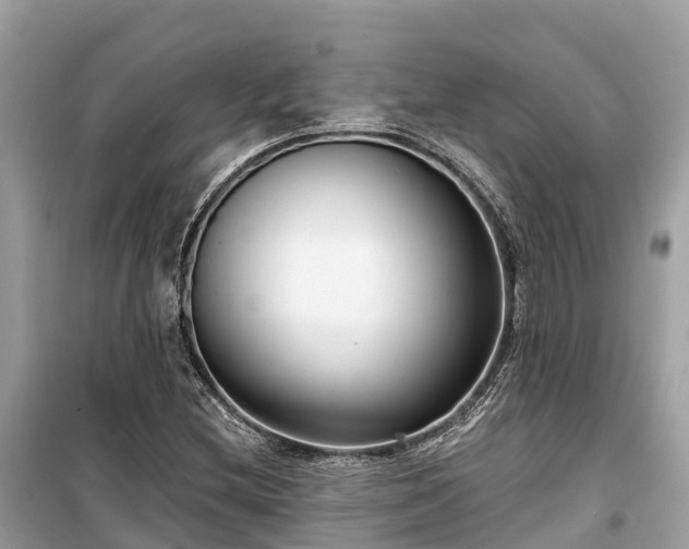 X0000099441212200805161126