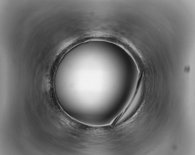 X0000099441213200805161126