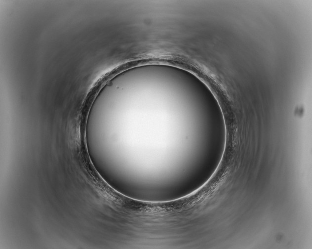 X0000099441214200805161126
