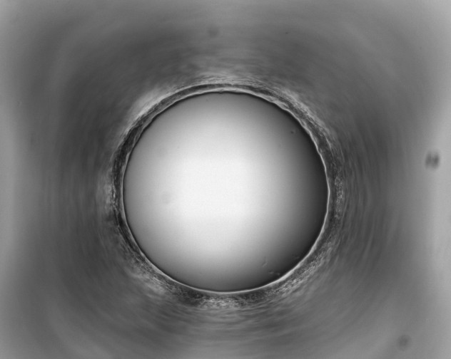X0000099441215200805161126