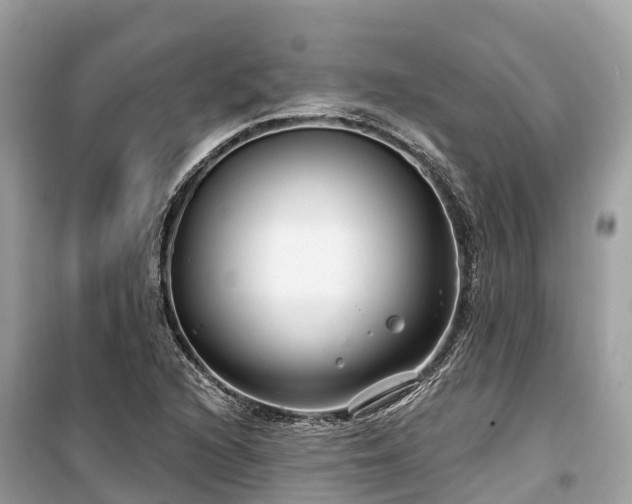 X0000099441216200805161126
