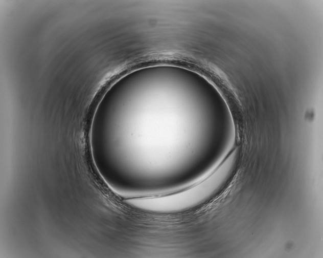 X0000099441218200805161126