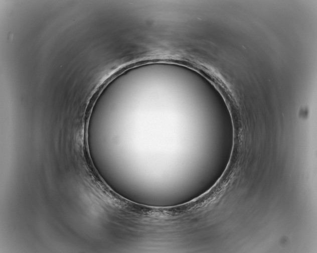 X0000099441220200805161126