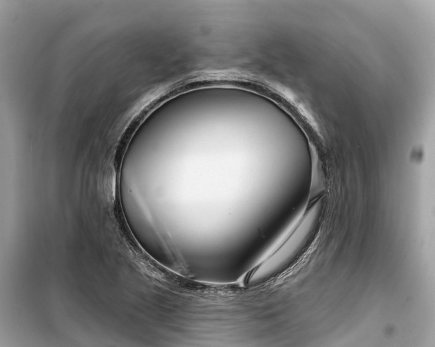 X0000099441221200805161126