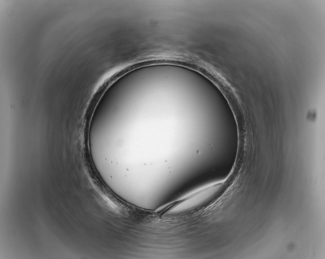 X0000099441222200805161126