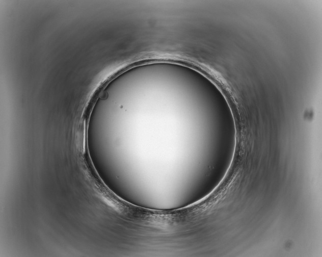 X0000099441223200805161126