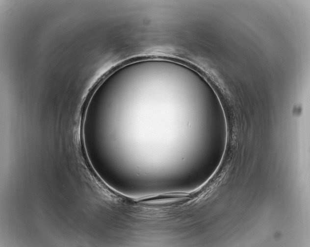 X0000099441224200805161126