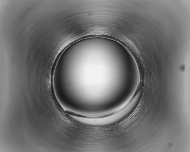 X0000099441226200805161126