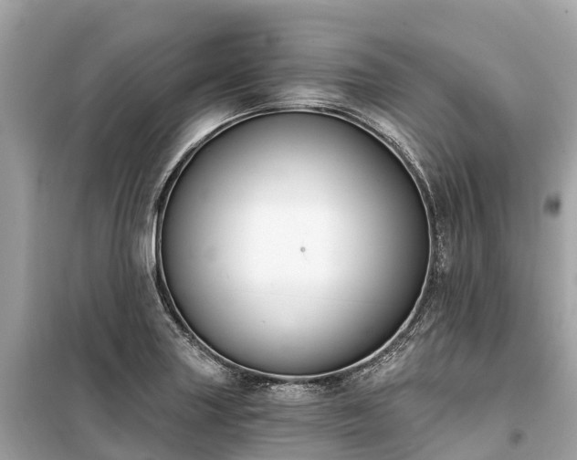 X0000099441227200805161126