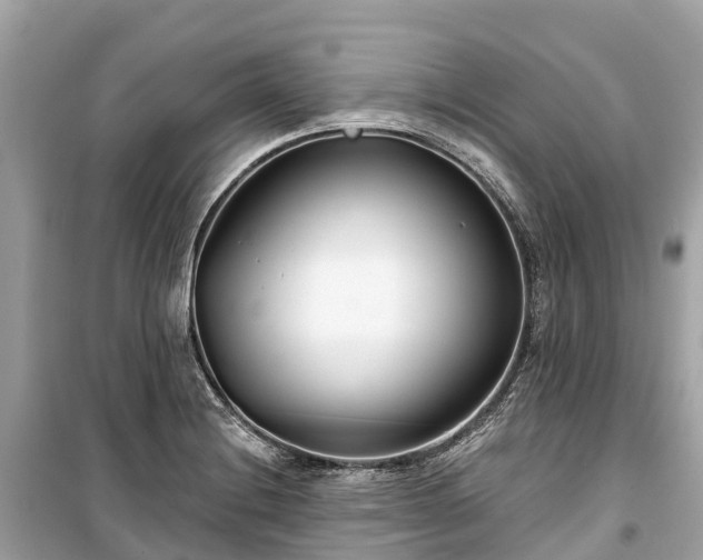 X0000099441228200805161126