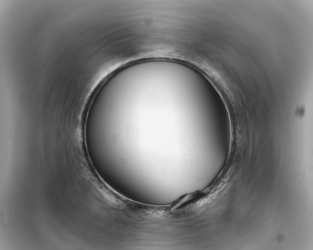 X0000099441230200805161126