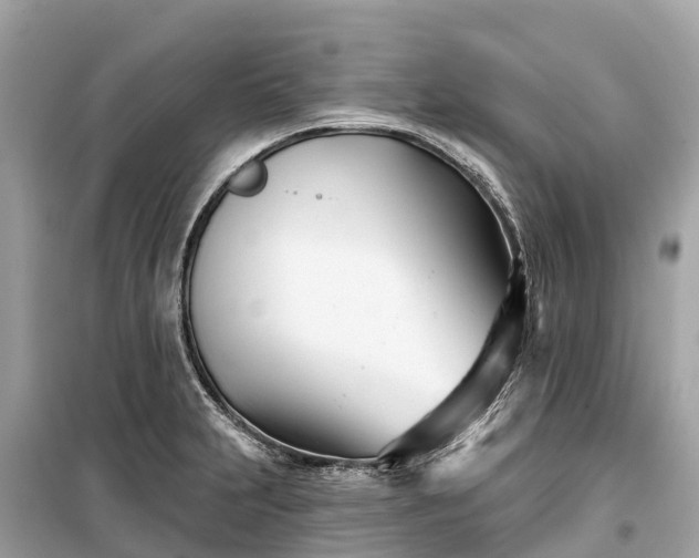 X0000099441231200805161126