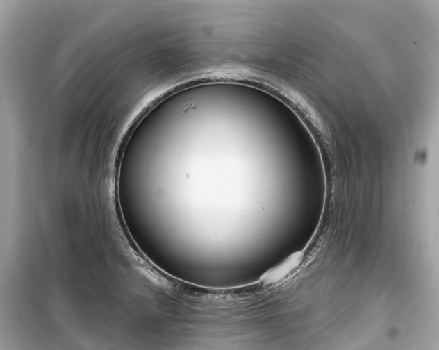 X0000099441232200805161126