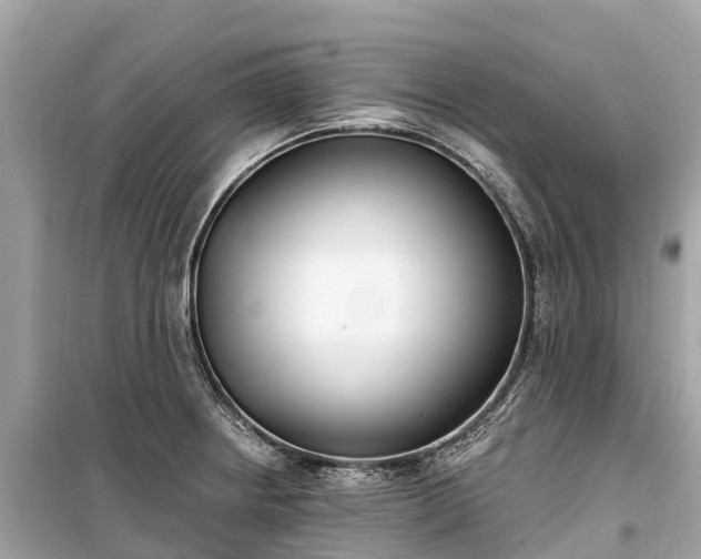 X0000099441234200805161126