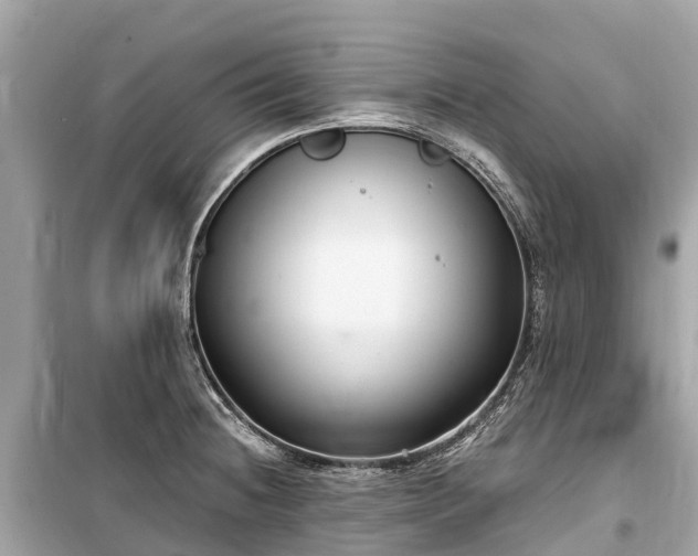 X0000099441236200805161126