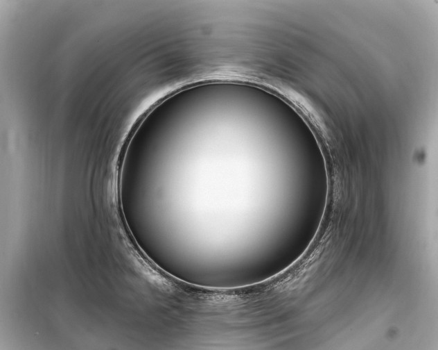 X0000099441238200805161126