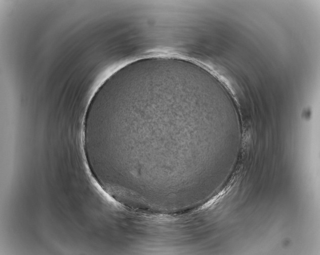 X0000099441239200805161126